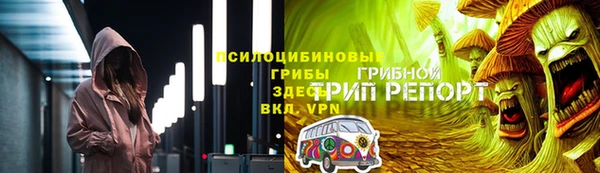 твердый Володарск