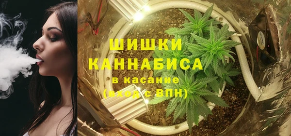 твердый Володарск