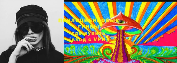твердый Володарск