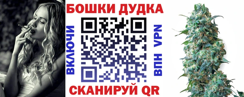 ссылка на мегу зеркало  Орехово-Зуево  Шишки марихуана SATIVA & INDICA  купить закладку 